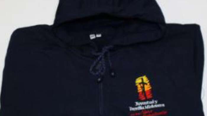 Sudadera Azul Medio Cierre